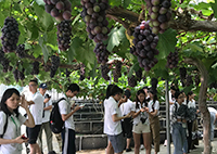 Students taste the "fruit" of technological research at their Institute of Biotechnology